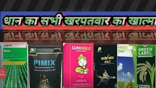 nominee gold,Adora,narkis,sumigolda,green label,almix,pimix,ka uses price dose