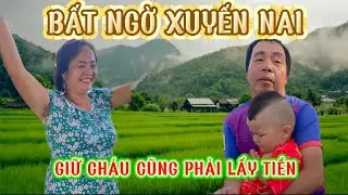 Xuyến Naii Giữ C/háu Ngoại Cũng Lấy Tiềnn Hữu Nga