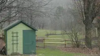 Green cabin