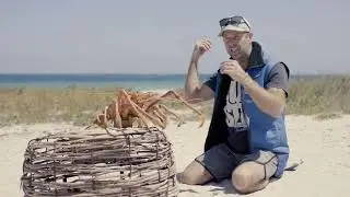 This is the Western Rock Lobster