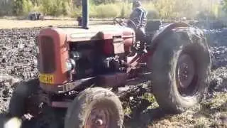 Voimakonep&auml;iv&auml;t 2012, mets&auml;koulu, Paimio