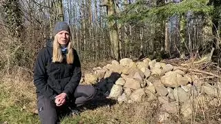 Stenbunker bevarer og &oslash;ger biodiversiteten for padder, firben, pindsvin, regnorme og edderkopper