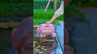 Водонепроницаемая школьная сумка для детей 🎒💧