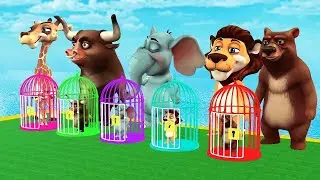Long slide Press Button to free Animals cage games funny animation Fun toon 3D