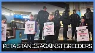 PETA Supporters Stand Up for Shelter Dogs Outside Westminster Dog Show