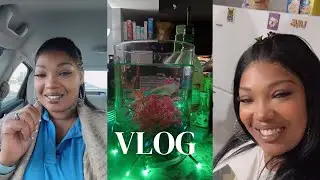 VLOLG I New Betta Fish + Chit Chat + Friendsgiving + Holiday Food & and more..