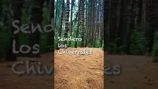 Un vistazo al bosque de Prusia - Jimmy Castillo Video Clip