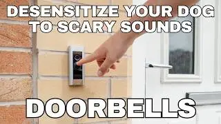 Dog Desensitization Sounds for Dogs & Puppies: Doorbells