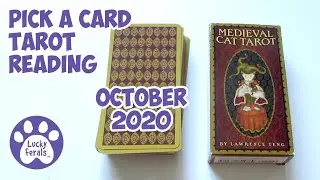 Medieval CAT Tarot 🔮  Pick A Card Tarot Card Reading October 2020 🎃 Guidance