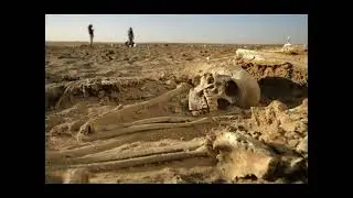 The Mystery of Cambyses II&rsquo;s Lost Army