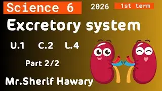 Science | Excretory system | Grade 6 | Unit 1 -Concept 2 -Lesson 4 -Part 2/2 Science6ساينس