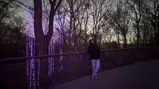 Christmas Lights at Botanical Garden