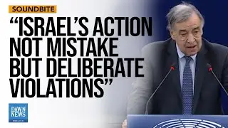 Italian MEP says Israel violates international law and UN resolutions | Dawn News English