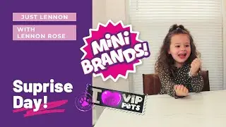Mini Brands | Suprise Day | Just Lennon | Toy Unboxing | I Love Pets | Toys & Fun