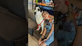 Cutest Cafe in Thailand!! Dog Country Cafe Bangkok