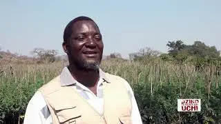 Dziko la Mkaka ndi Uchi - 13 August 2020