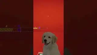 What a crazy person | #spaznhd on #Twitch