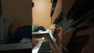 sample of THE SUGAR PLUM FAIREY from the Nutcracker suite by Tshaikowsky