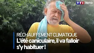 &Eacute;t&eacute; caniculaire : il va falloir s'y habituer !