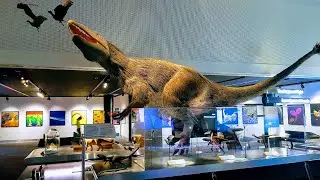 Top Fun Things To Do In Miami - Phillip and Patricia Frost Museum of Science