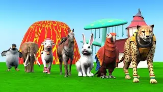 Paint & Animals Dog, Pig, Rabit Buffalo, Lion Fountain Crossing Transformation Animal Cartoon -P1