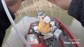 RD Bailey Stud caught on clear fork bassin dead ringer