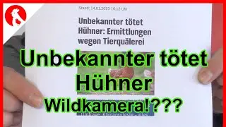 150 Unbekannter t&ouml;tet H&uuml;hner - keine Zeugen ! iZEEKER iG400 Wildkamera-  Jensman and the Huhns