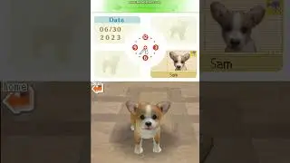 Nintendogs: Lab and Friends Australia Version Part 1