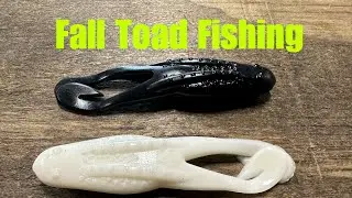How To Rig And Fish Toads For Fall Bass Fishing&hellip;