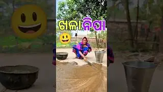 ଆଜି ଆମର ଖଳା ଲିପା ଗଲା 😃 #Shorts #MiniVlog