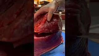 Fresh catch of the day: Tuna