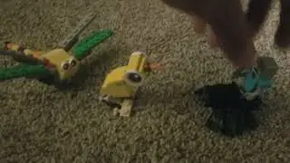 Ozzie the Dragonfly S18 E4 Kiwi Bird vs. Spider Jockey