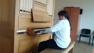 Christmas songs mix on organ. Performance and arrangement: Darina Dikova