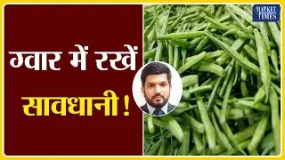 ग्वार में रखें सावधानी ! Market Times TV #guar #guargum #guarseed #guarprice #guarbhav #ग्वार