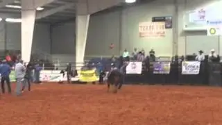 NCIC's new salesman, Bobby Renaud making some quick money at the Morgan County Sheriff's Rodeo