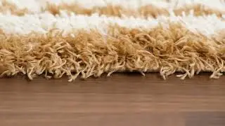 Calup Shag Area Rug