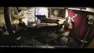 'Polkadots & Moonbeams' - Yves Brouqui Trio - Mezzrow Jazz Club, NYC August 3, 2016