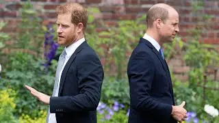 Prince Harry accused of &lsquo;overshadowing&rsquo; William with announcement of Canada trip