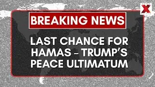 Trump Sets Deadline for Hamas to Accept Gaza Peace Deal | NewsX World