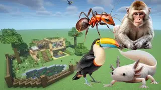 How To Make an Ant, Axolotl, Monkey, and Toucan Farm in Minecraft PE