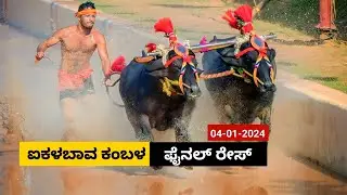 Aikala Bava Kambala Final Race 2024 |ಐಕಳಬಾವ ಕಂಬಳ  ಫೈನಲ್ ರೇಸ್