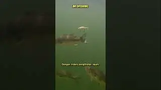 Begini cara Ikan Kakap Putih memangsa umpan tiruan #bkofishing #kakapputih
