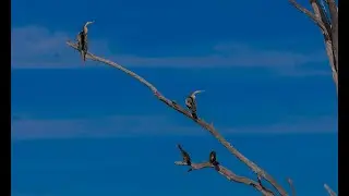 Coolmunda Dam Video