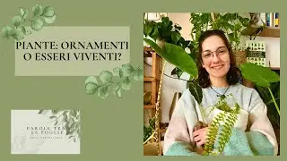 Piante: ornamenti o esseri viventi? 🍃 | PAROLE TRA LE FOGLIE