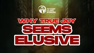 Have you ever wondered why true joy seems so elusive?