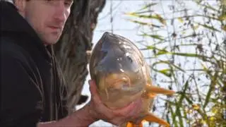 team carpe Poitou charentes &agrave; trizay