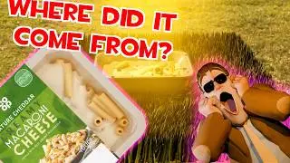 The Macaroni Conspriracy: Explained