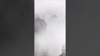 Mystical Relaxation Music with Fog Over Forest |  Fog Over Forest: Captivating Relaxation Music