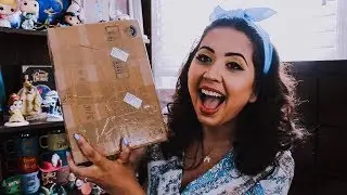 Disney Unboxing from Karens USA Adventures!