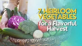 Top 7 Heirloom Vegetables for a Classic and Flavorful Harvest